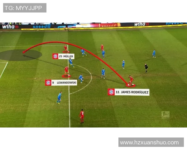 南京排球队配合变革引发热议新战术助力团队协作提升